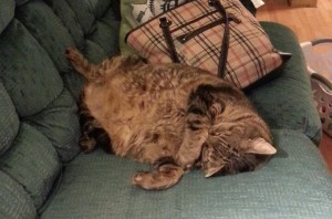 Goodnight, you beautiful little Man