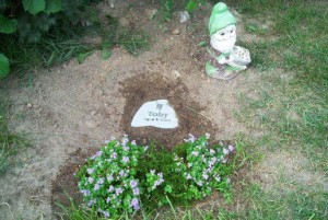 Toby's Burial in the backyard